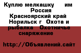 Куплю мелкашку 5,6 им 22LR Россия - Красноярский край, Норильск г. Охота и рыбалка » Охотничье снаряжение   